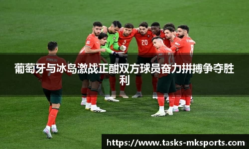 葡萄牙与冰岛激战正酣双方球员奋力拼搏争夺胜利
